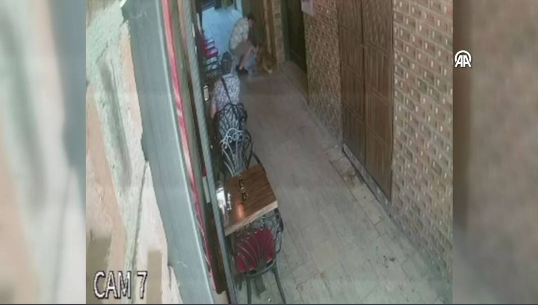 Pamukkale Kafeler Sokağı'nda sevmek istediği sokak köpeği ısırdı - Resim: 7